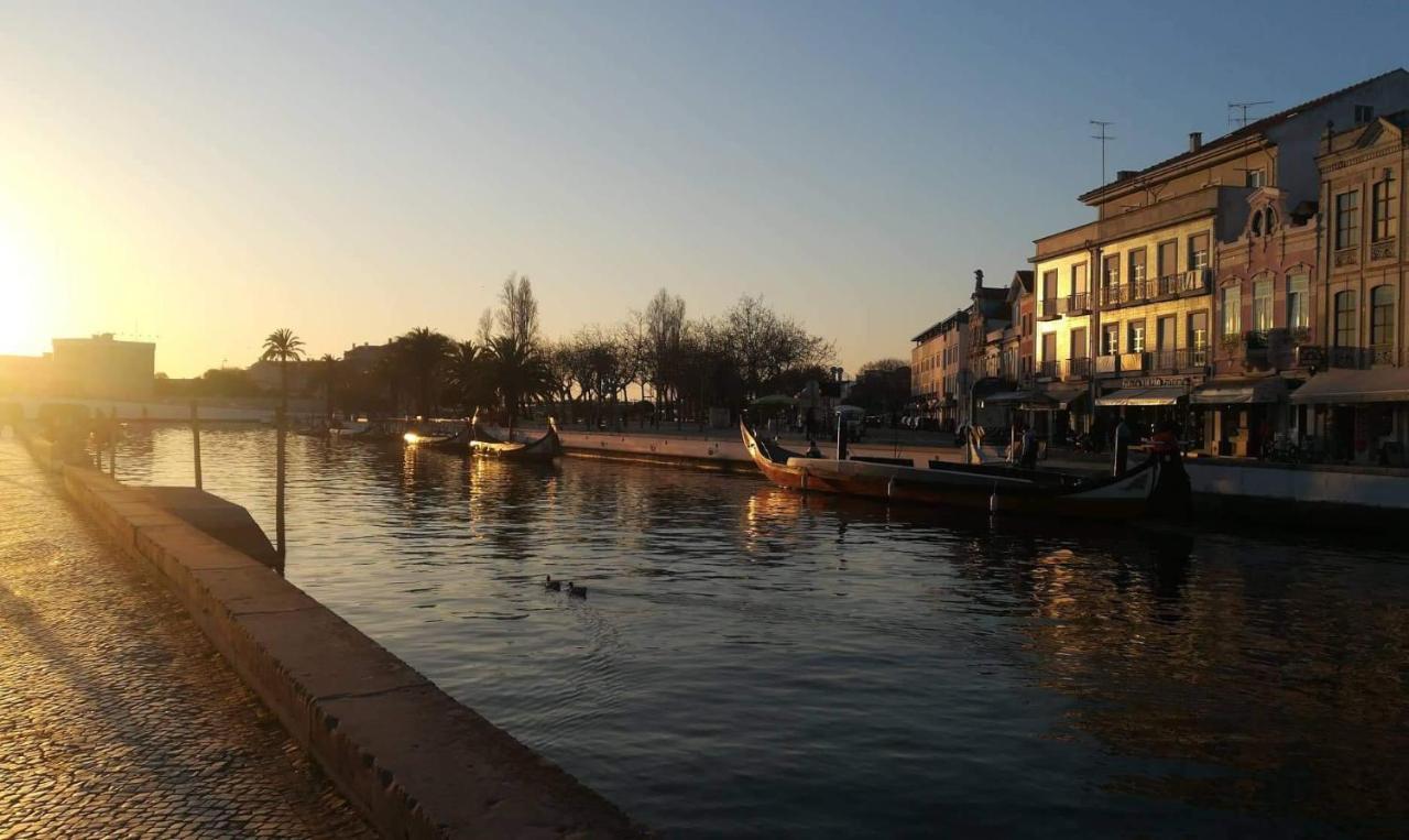 Moradia Entre O Mar E A Ria Villa กาฟันญา ดา นาซาเร ภายนอก รูปภาพ
